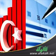 الاقتصاد التركي لماذا؟