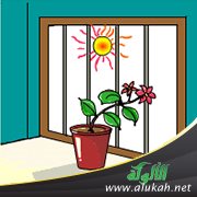 الاستجابة للموعظة