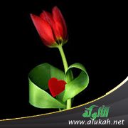 ثمرات الفؤاد