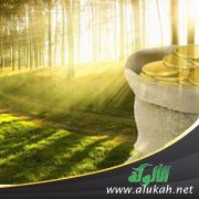 أمانة التجار فتح للإسلام