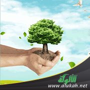 الصدق الذي ينفي الكذب