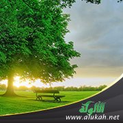 كيف تعيش يومك سعيدا؟