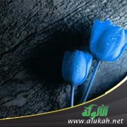 أماه عذرا.. أحوجتك إلى عيدهم!