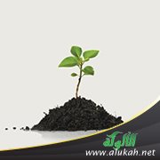 الشيخ د. صالح بن بخيت مولى الدويلة في محاضرة: قيمة النصيحة