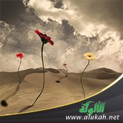 أنا رومانسي وزوجتي جافة