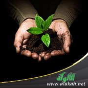 تعريف الإحسان