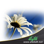 قناعة المرأة
