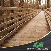 الدنيا دار ممر والآخرة دار مقر