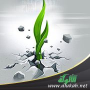 ملاحم الشهداء!