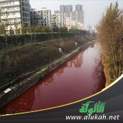 معركة نهر الدم (أليس)