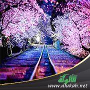 أزهار (شعر)