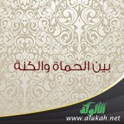 بين الحماة والكنة