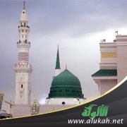 نهج الرسول بين يدينا