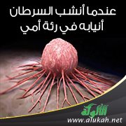 عندما أنشب السرطان أنيابه في رئة أمي