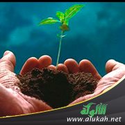 من أنواع الرحمة
