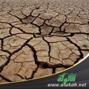 ملخصات اقتصادية (2) التصحر