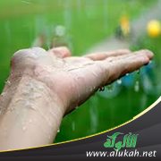 البحث عن السعادة في زمن الفتن