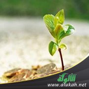 الأسباب العشرون لاستدرار الرزق (2)
