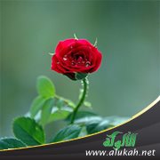 امرأة من الزمن الجميل