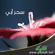 سحر أبي