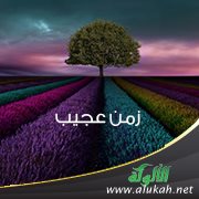 زمن عجيب