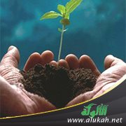 الثواب على قدر المشقة
