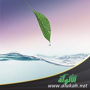 الترفع عما يشين النفس في الشيب والشباب