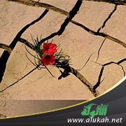تحمل الأذى في سبيل الله