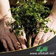 اصنع معروفا