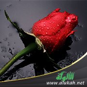 أحكام الاستحاضة