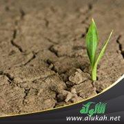 الإحجام بدل الإقدام