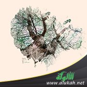 اقرأ بدايتك