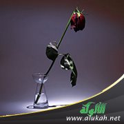 أهل زوجي يكرهونني
