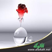 زوجي ووزني الزائد