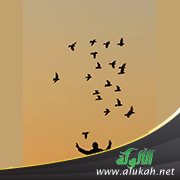 رزق أهل الرباط