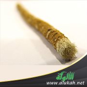 أحاديث عن فضل السواك