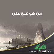 من هو قلج علي ؟