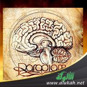 نظارة العقل ( البارادايم)