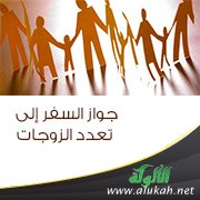 جواز السفر إلى تعدد الزوجات