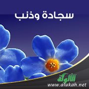 سجادة وذنب