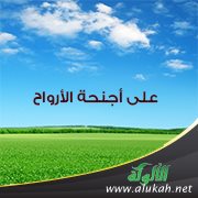على أجنحة الأرواح