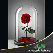 العلاقة الزوجية عند كبر السن