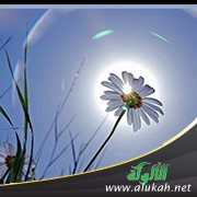 تأملات في خلق الله
