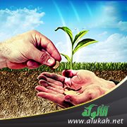 الأعلام السارية في بيان الصدقات الجارية