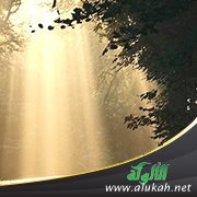 النور والديجور (قصيدة تفعيلة)