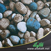 سر الحجر