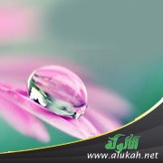 مدارس التواضع.. ما لن تتعلمه في الجامعة