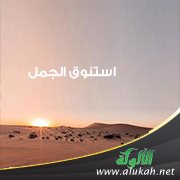استنوق الجمل