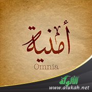 أمنية (شعر)