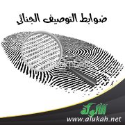 ضوابط التوصيف الجنائي